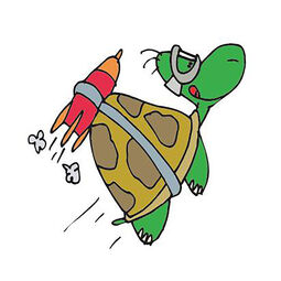PT Turtle