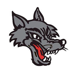 PT Wolf
