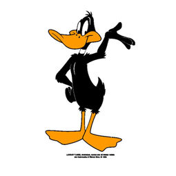 Daffy Duck Solo