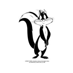 Penelope Skunk Solo