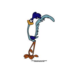 Road Runner Solo