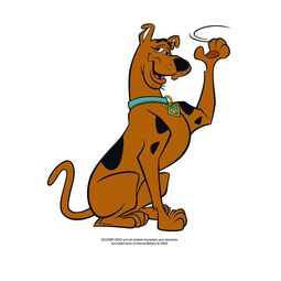 Scooby Doo Solo