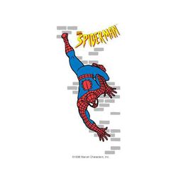 Spider Man Solo
