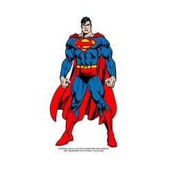 Superman Solo