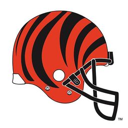NFL Cincinnatti Bengals