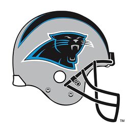 NFL Carolina Panthers