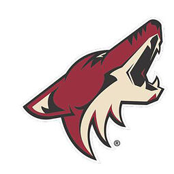 NHL Arizona Coyotes