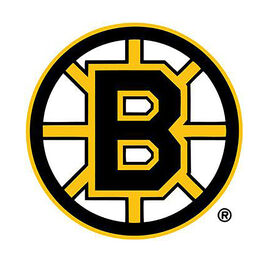 NHL Boston Bruins