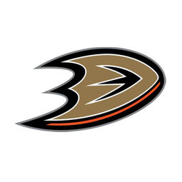 NHL Mighty Ducks/Anaheim