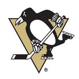 NHL Pittsburgh Penguins